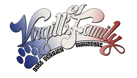 Of Virgill's Family